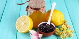 Natural Remedies for Common Pet Health Problems
