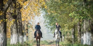Portable Water Solutions for Traveling With Horses