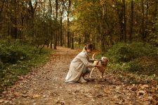 How Do You Help Your Pet Stay Healthy During Seasonal Changes?