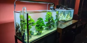 A Guide to Temperature Control