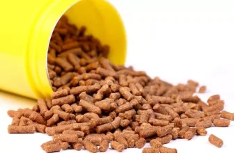 Understanding Fish Food Types and Their Benefits
