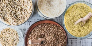 What Is the Best Type of Bird Food for Your Pet?