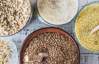 What Is the Best Type of Bird Food for Your Pet?