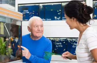 Top Accessories for a Stress-Free Fishkeeping Experience