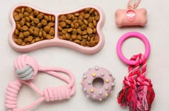 Top Travel Accessories for Pets on Outdoor Adventures