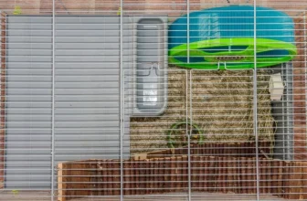 Bird Accessories That Every Exotic Pet Owner Needs