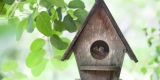 Affordable Bird Supplies for Budget-Conscious Owners