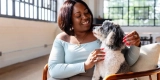 Why Should You Pay Attention to Your Pet’s Mental Health?