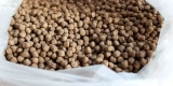 How Do You Choose the Best Fish Food for Your Aquarium Pets?