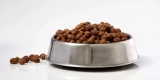 The Best Food Bowls for Mess-Free Mealtime