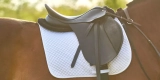 What Are the Best Saddle Pads for Comfort and Performance?