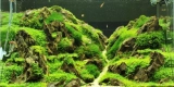 What Is the Difference Between LED and Fluorescent Aquarium Lighting?