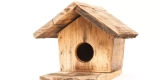 Eco-Friendly Bird Supply Options in 2024