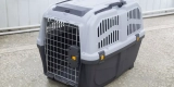 How Do You Choose the Best Exotic Pet Carrier for Your Animal?