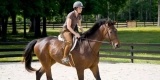 Why Are Safety Helmets Essential for Horseback Riding?