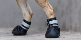 How Do You Protect Your Pet’s Paws on Rocky or Hot Surfaces Outdoors?