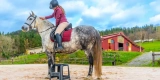 Protective Gear for Riders: Safety First