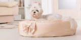 A Guide to Selecting the Right Bedding for Small Animals