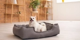 Choosing the Right Bedding for Your Exotic Pet’s Comfort