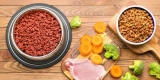How Do You Choose the Right Pet Health Products?