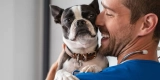 How Do Smart Pet Gadgets Help With Pet Anxiety and Stress Relief?