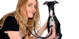 What Are the Top Smart Gadgets for Managing Your Pet’s Health?