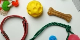 Must-Have Travel Accessories for Dogs
