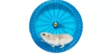 What Are the Benefits of Using Exercise Wheels for Hamsters?