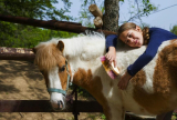 What Grooming Tools Are a Must-Have for Every Horse Owner?