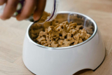 A Guide to the Best Exotic Pet Foods and Treats