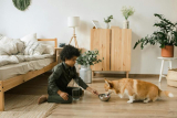 Why Is Proper Hydration Crucial for Your Pet’s Health?