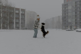 What Are the Best Pet-Friendly Outdoor Clothing Items for All Seasons?