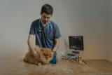 Why Is Regular Vet Checkup Important for Your Pet’s Wellbeing?
